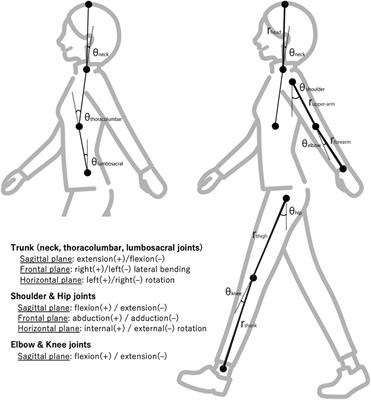 Biomechanical strategies to maximize gait attractiveness among women